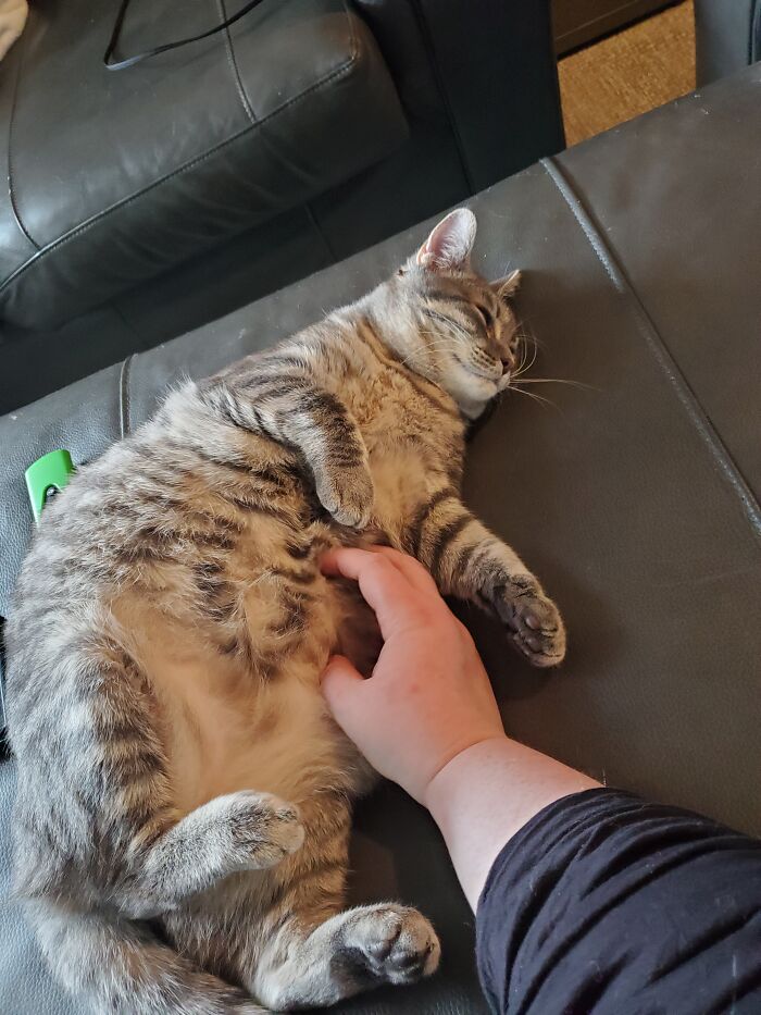Sleepy Belly Rubs