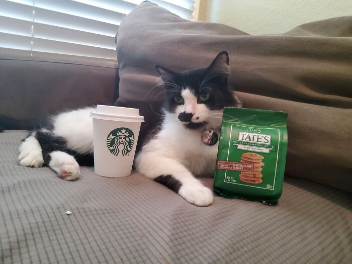 This Is Max. He Was A Stray. He Is Very Sweet And Has Cute Toe Beans