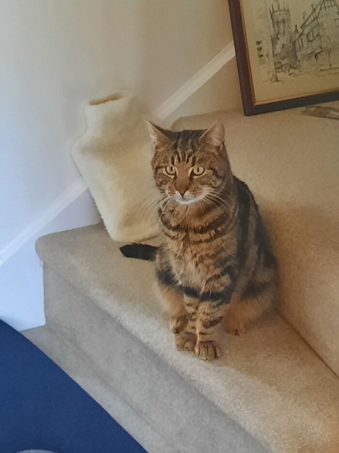 God (Short For Godfrey)