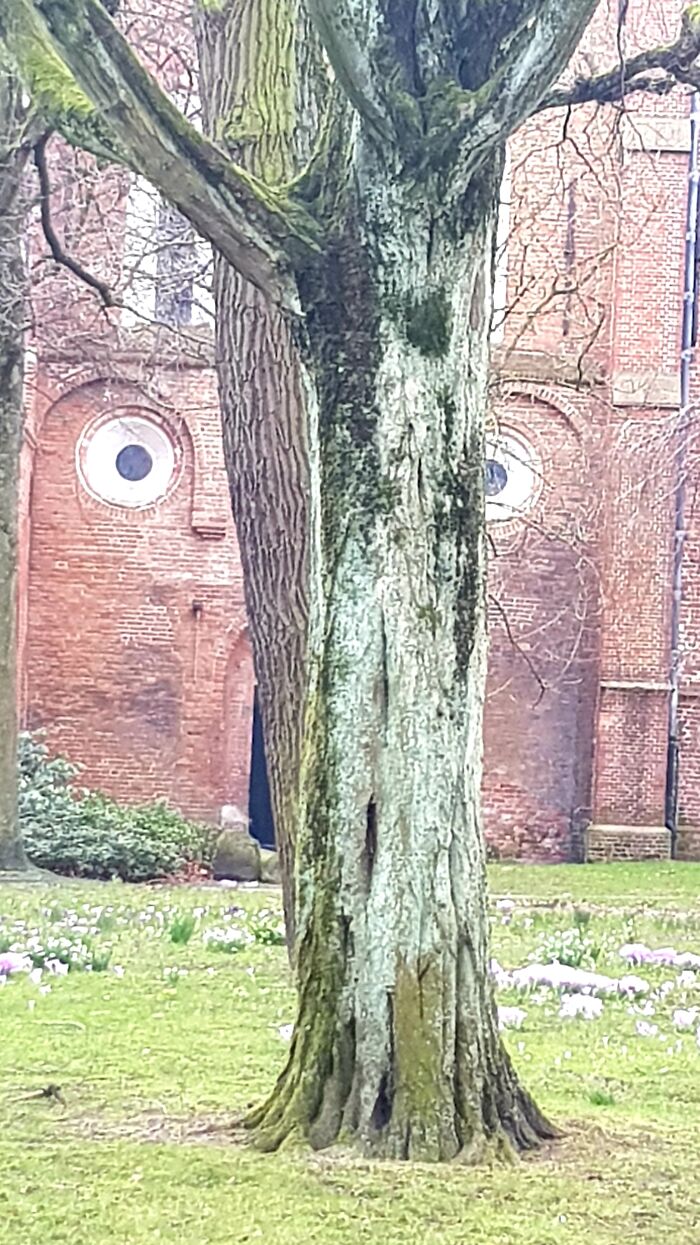 Local Church Looks Surprised