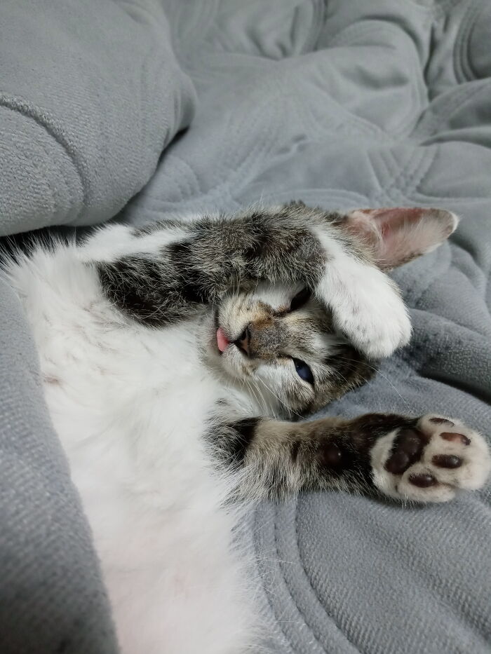 Maja, Who Likes To Show Her Tongue