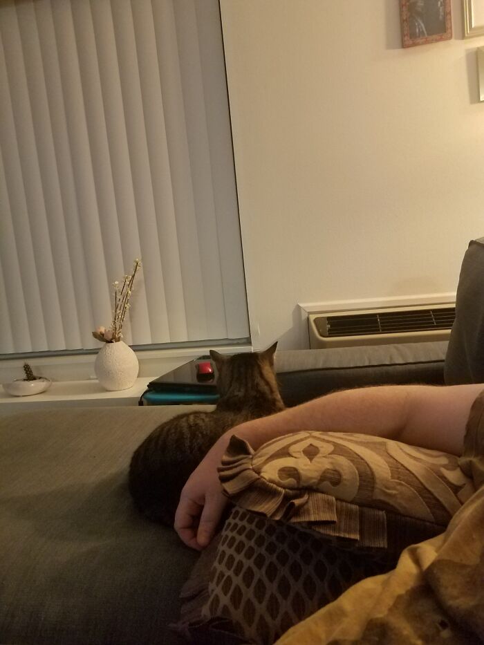 Pouting For 100% No Reason