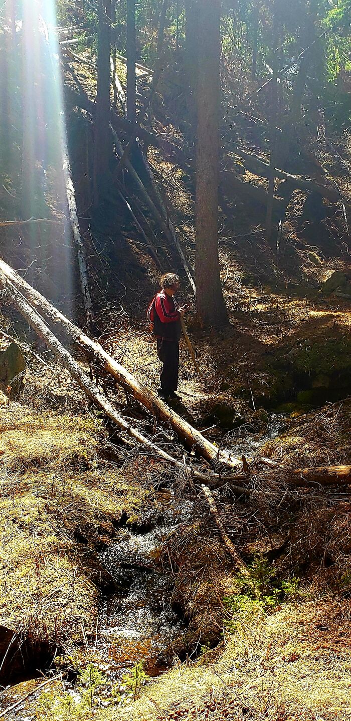 Gold Panning Deep In The Montana Woods