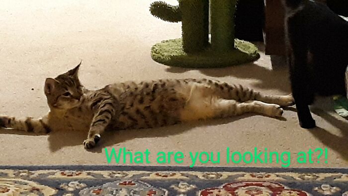 Sassyness Is Showing