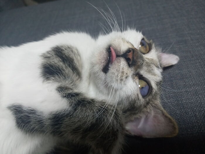 She Stayed Like This For A Few Seconds And We Couldnt Stop Laughing!