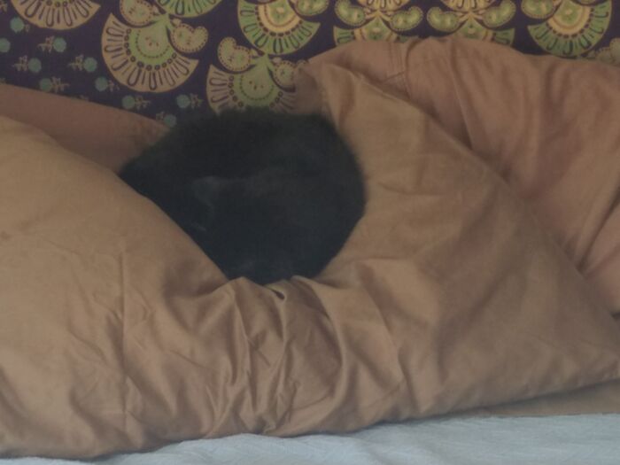 If Comfy Had A Picture.