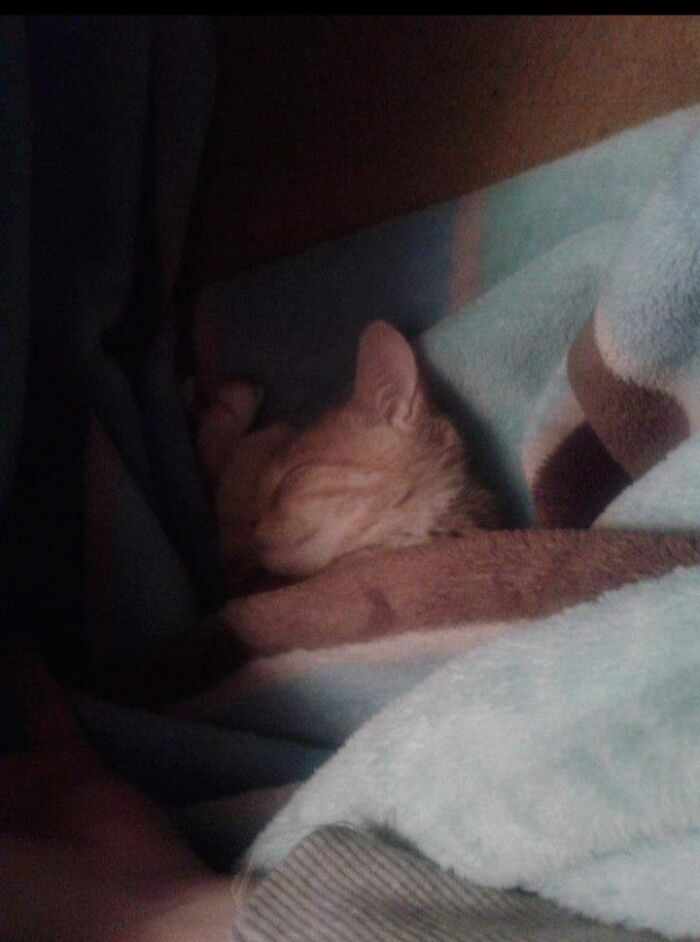 First Day At Her New Home.