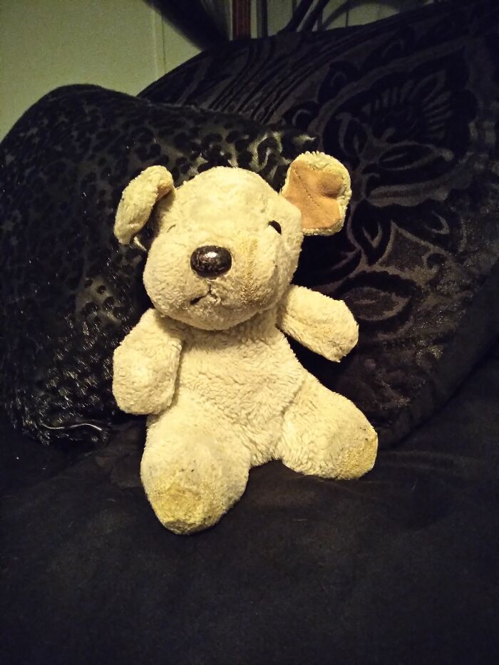 Gizzmo, Because I Loved The Movie Gremlins When I Was A Kid