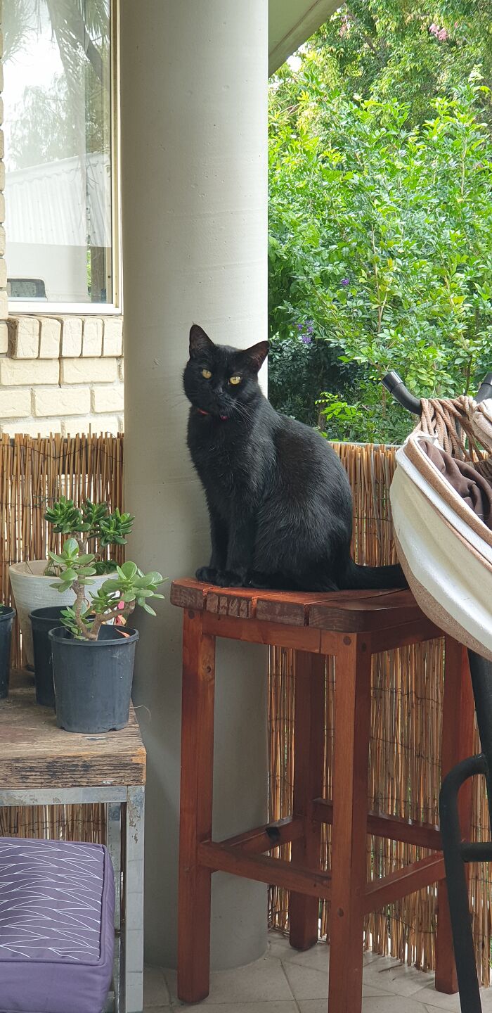 Age Is High Price To Pay For Wisdom