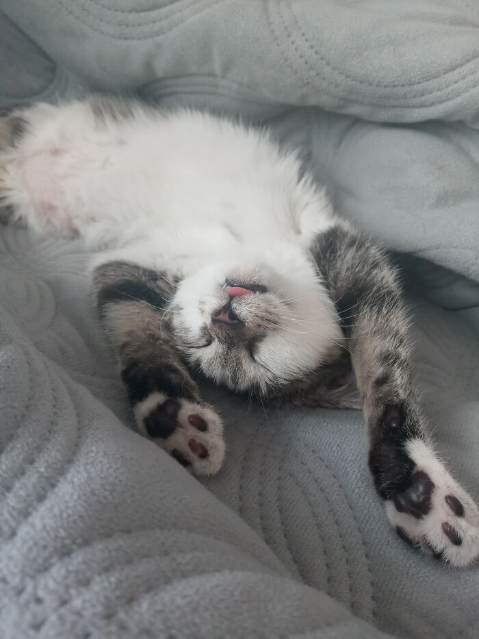 When She Sleeps Like This