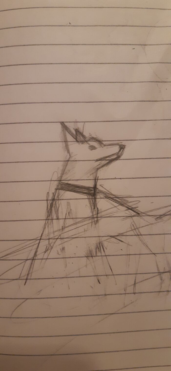 Got Bored At Class And Drew A Dog 🐶