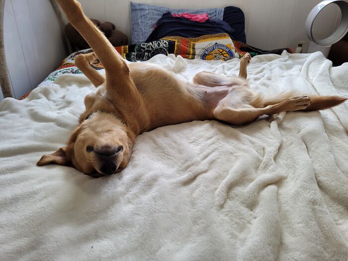 This Is Her Favourite Sleeping Position.