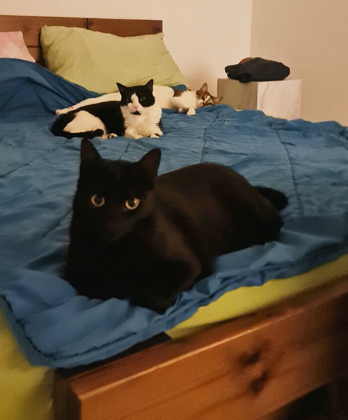 Another Night On The Couch 😭