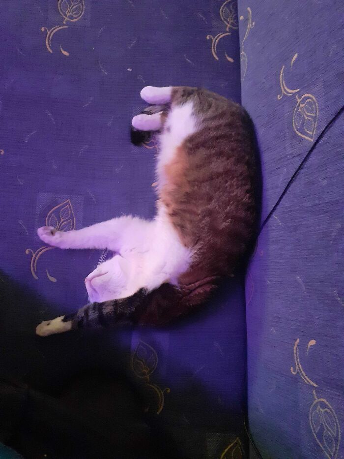 How Is That Comfortable?