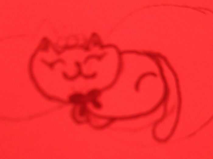 Sorry For The Bad Photo Quality