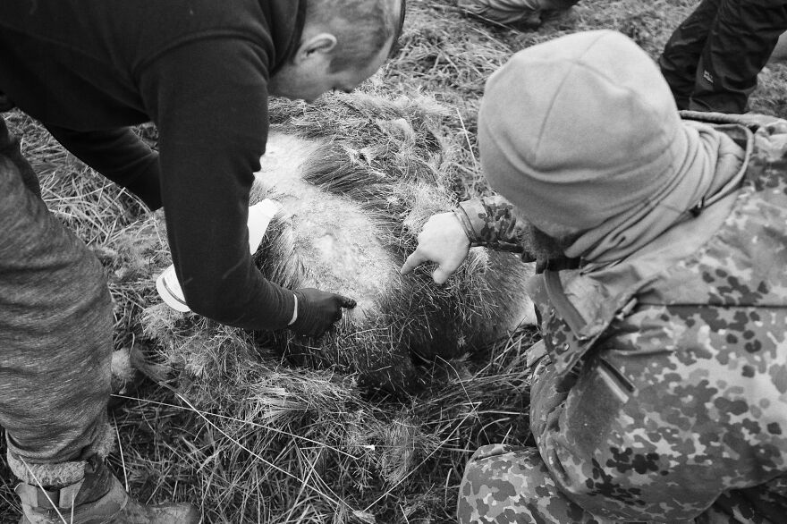 I Capture The Life Of A Lone Former Soldier Saving Animals From Poachers I Capture The Life Of A Lone Former Soldier Saving Animals From Poachers