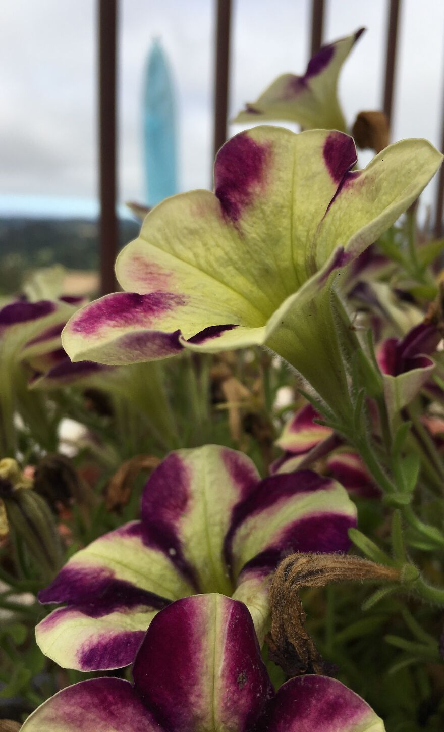 Wildlife Photography Wildlife Photography