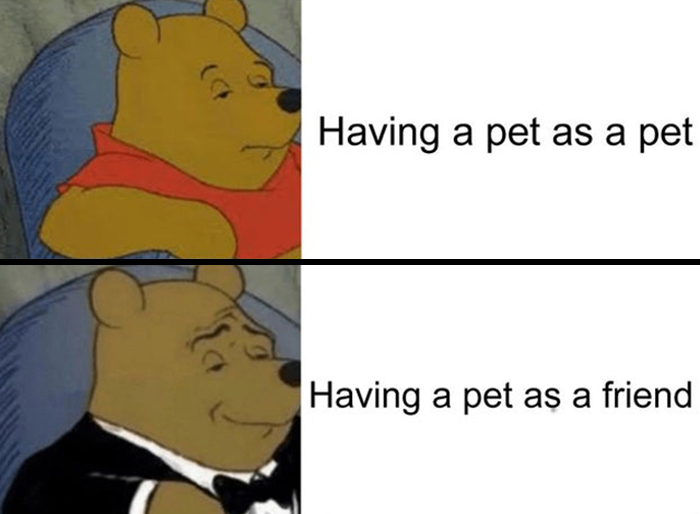 Wholesome-Heartwarming-Memes