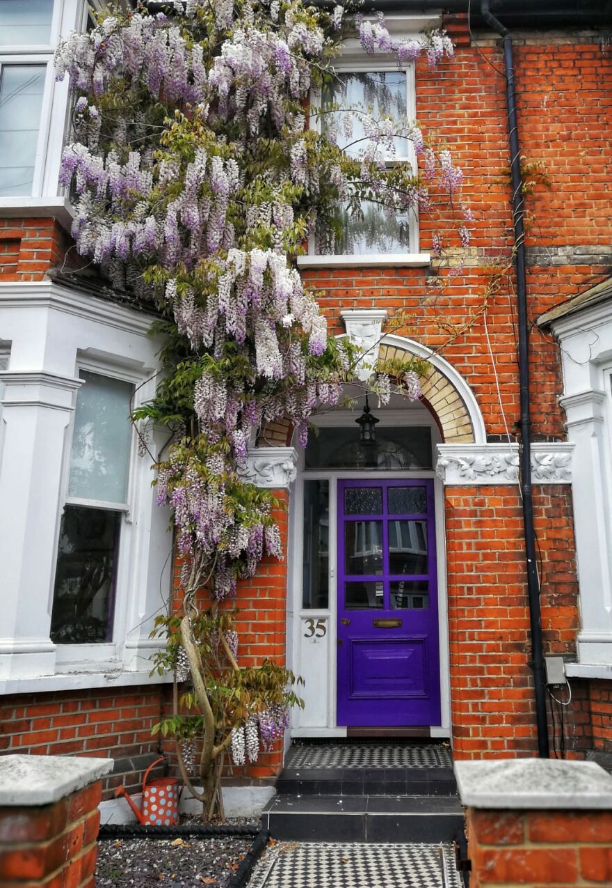 Wll (Wisteria Lane London)
