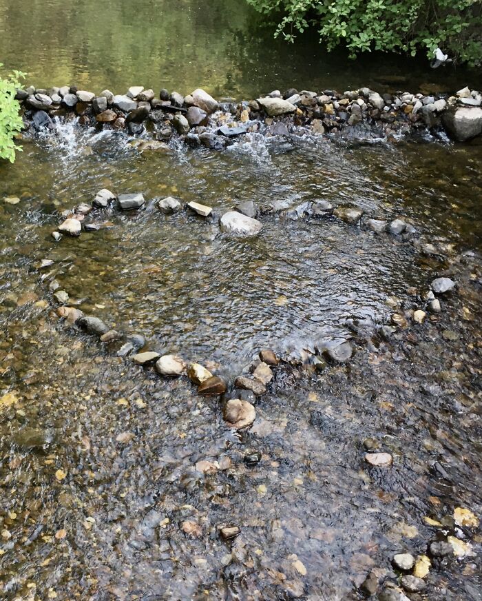 Found This At A Campsite In Montana :)