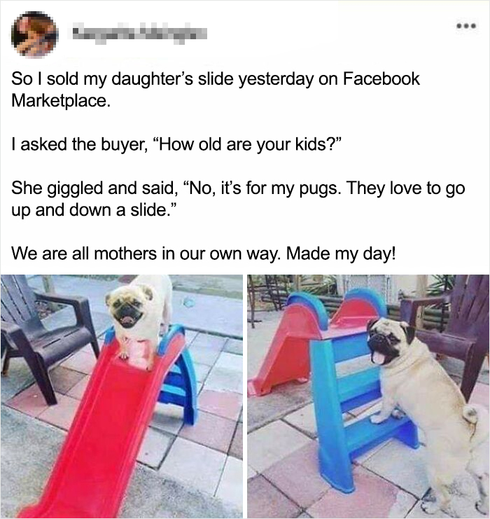 Gates Open Slide On In!