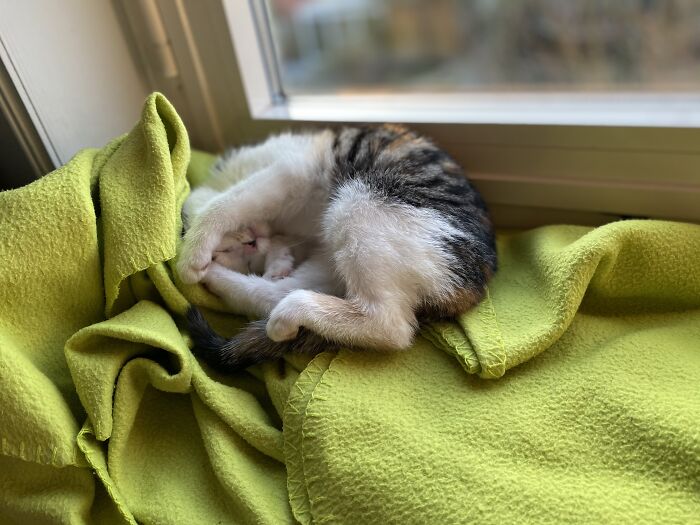 Snooze The Alarm, Pleazzzz