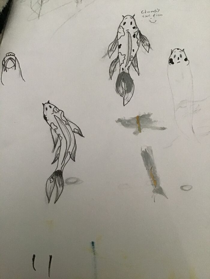 I Learned How To Draw Koi Fish Sorry For Mess