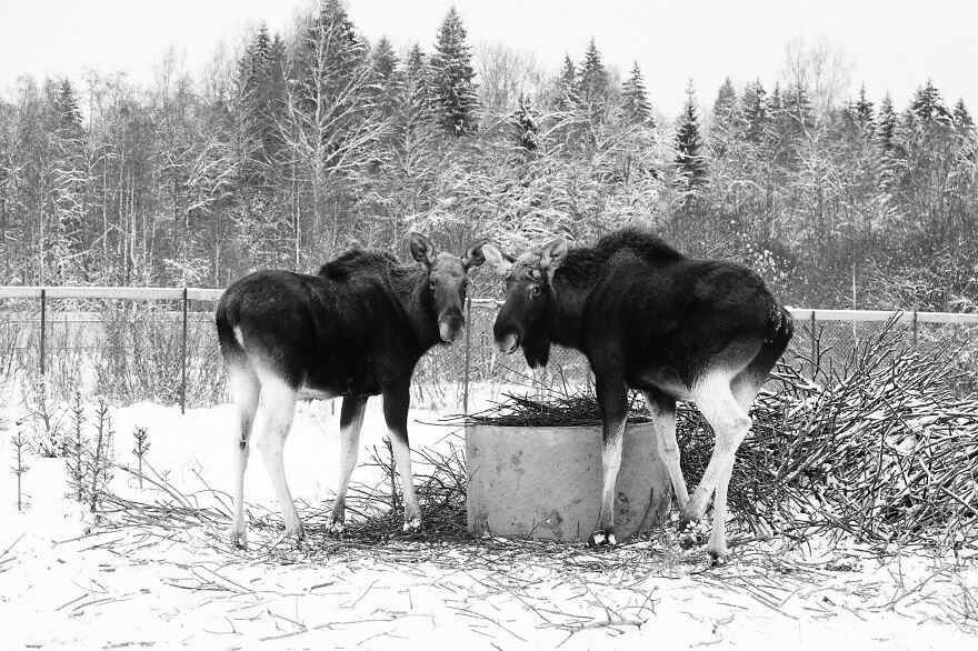 I Capture The Life Of A Lone Former Soldier Saving Animals From Poachers I Capture The Life Of A Lone Former Soldier Saving Animals From Poachers
