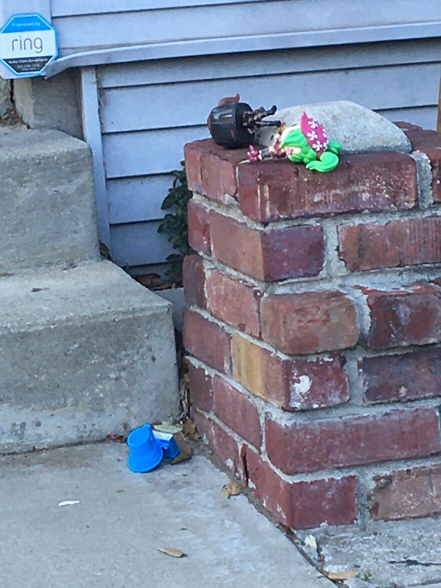 10 Weird And Cool Things I Saw On A Walk