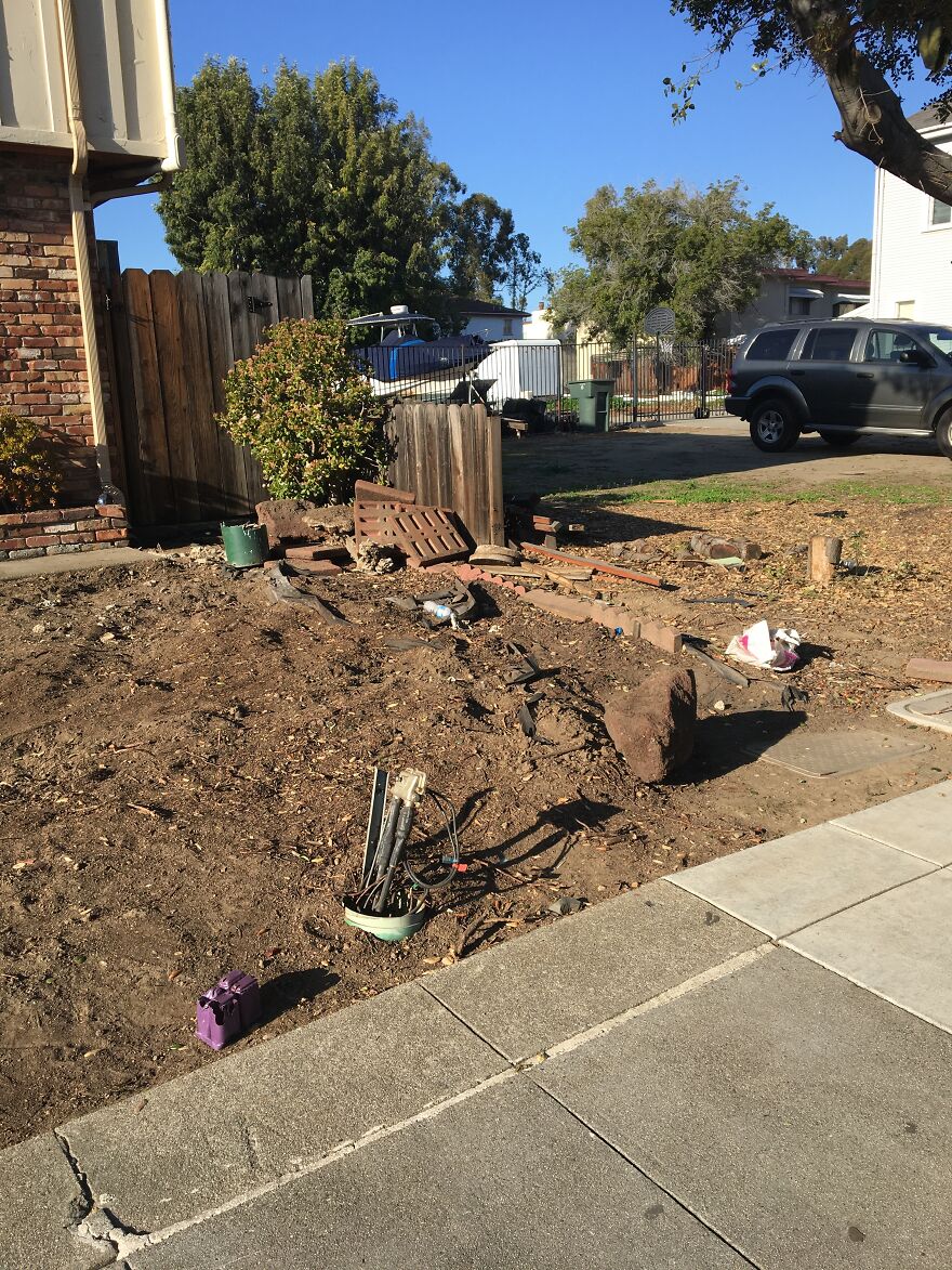 10 Weird And Cool Things I Saw On A Walk