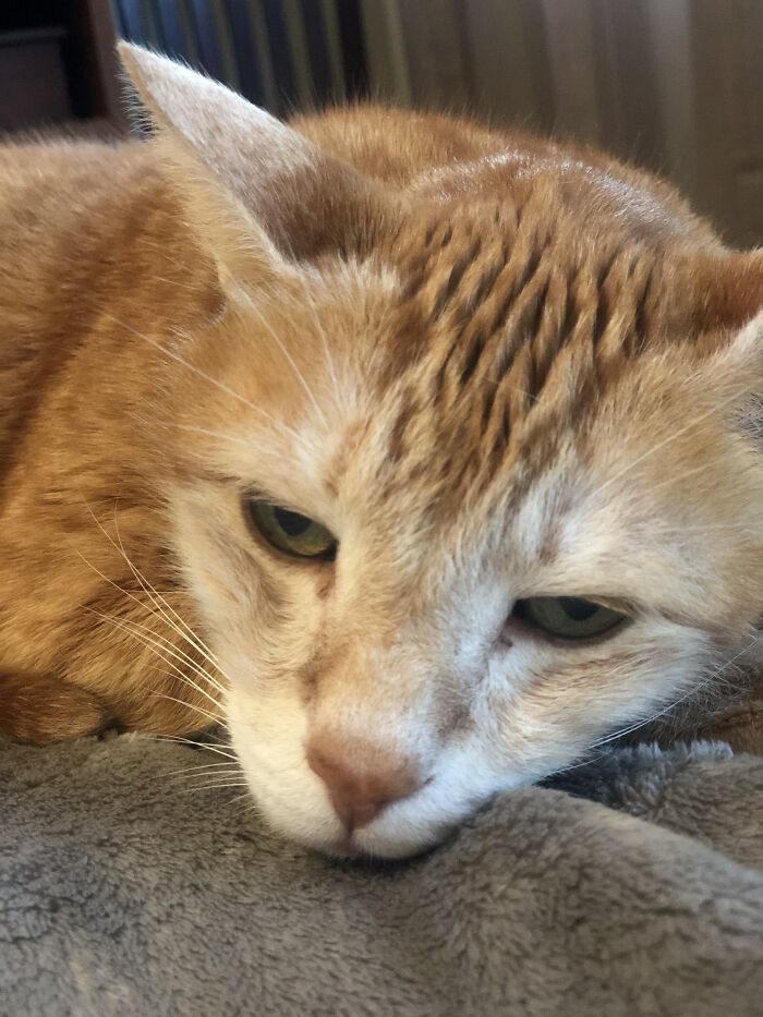 In The Morning On A School Day