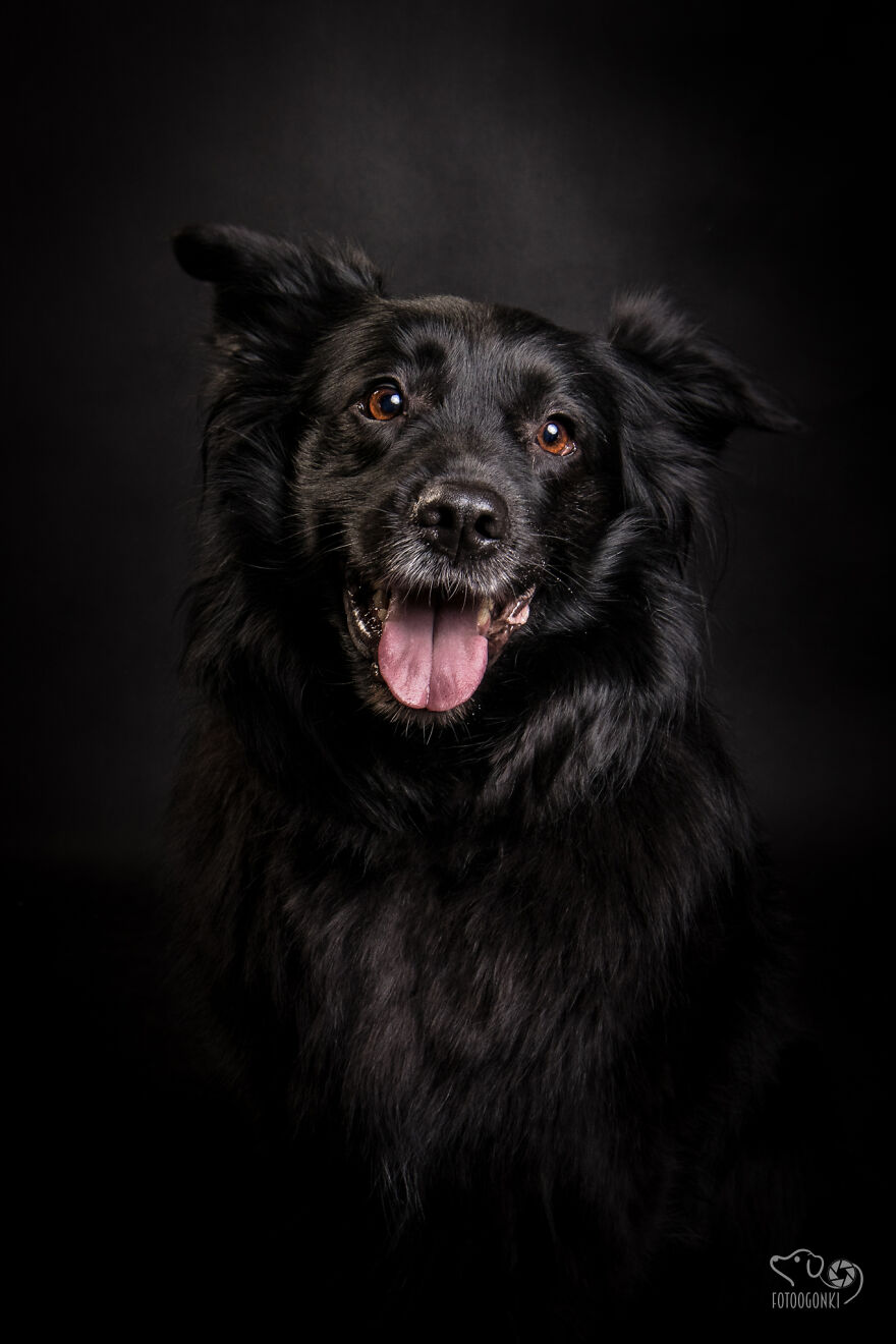 We Invited The Most Unique Models To Our Animal Photography Studio (19 Pics)