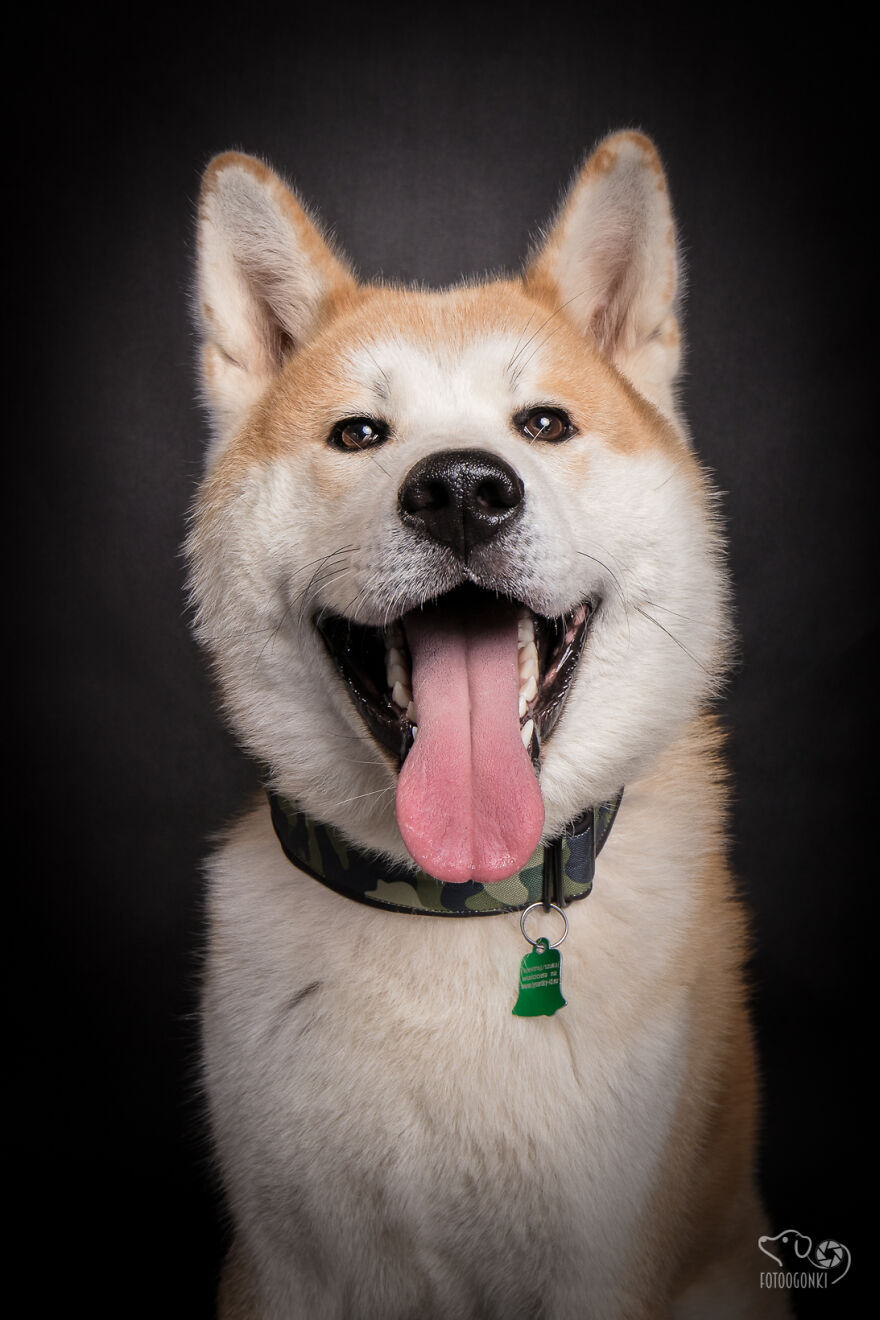 We Invited The Most Unique Models To Our Animal Photography Studio (19 Pics)