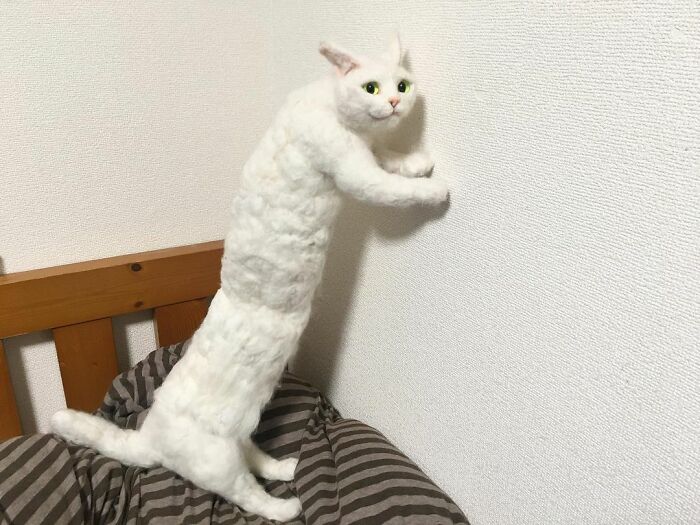 Japanese-Artist-Weird-Felted-Cats-Technology-Sacocho