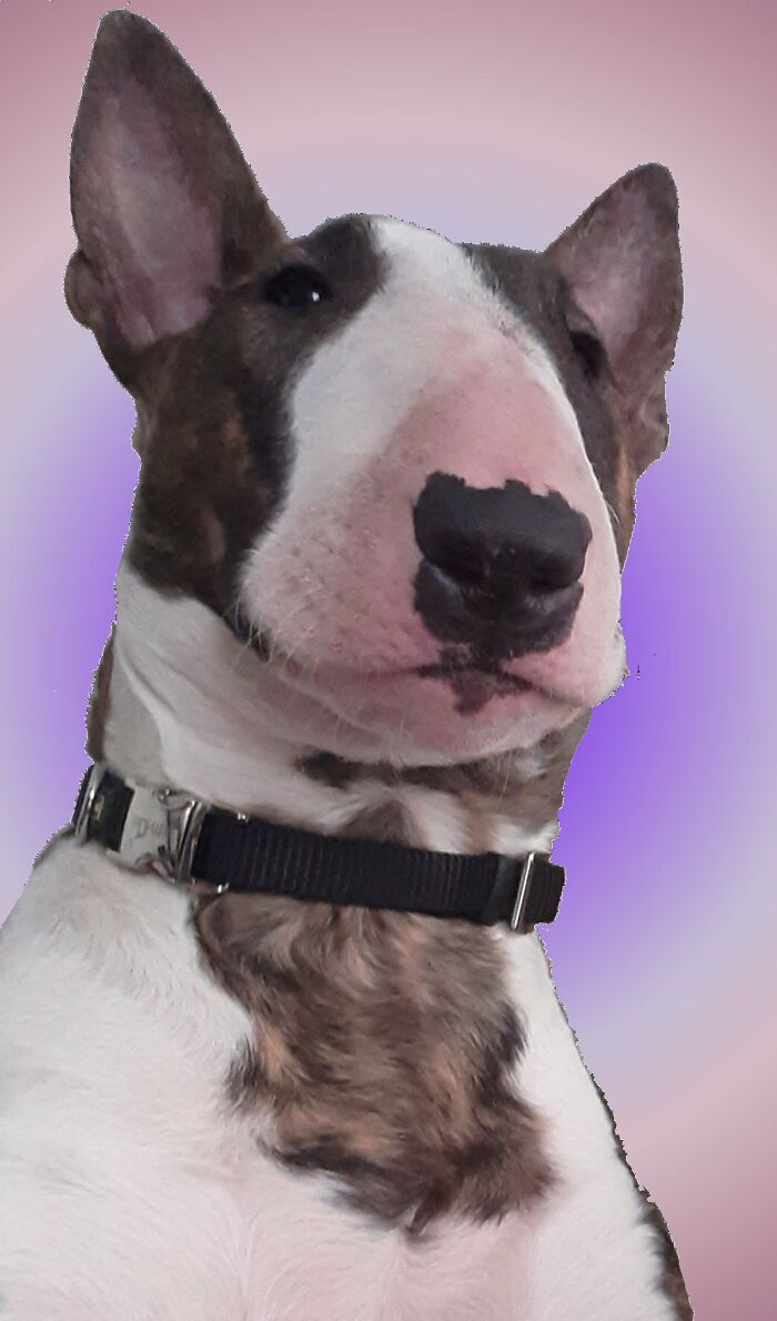 My Sweet Girl Gina At 6 Months Old.