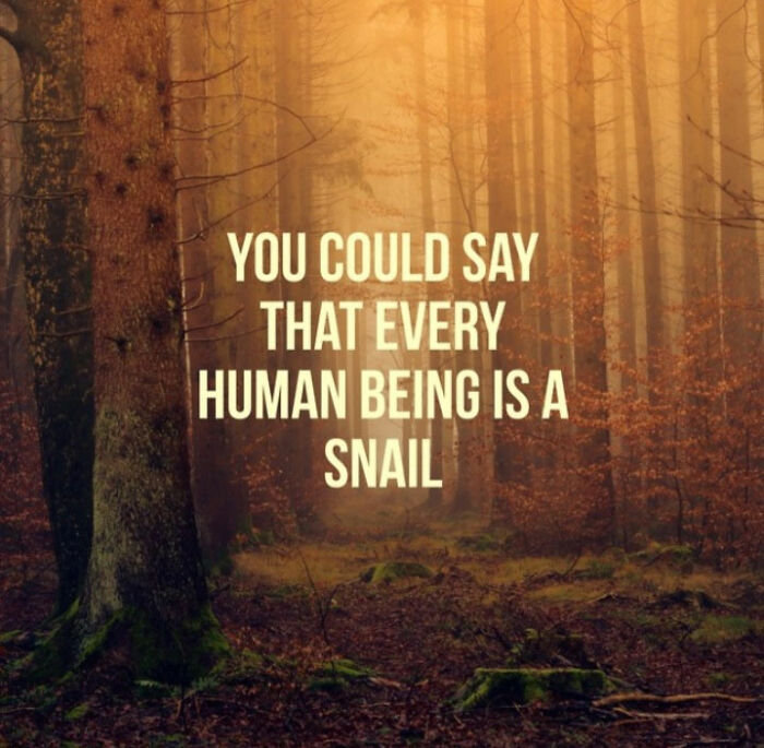 This Ai Generates Inspirational Quotes And Some Of The Results Are Hilarious