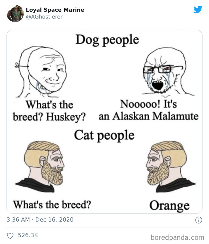 Cat-vs.-Dog-People-Tweets