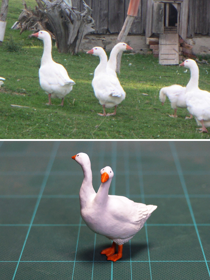 Funny Animals Sculptures