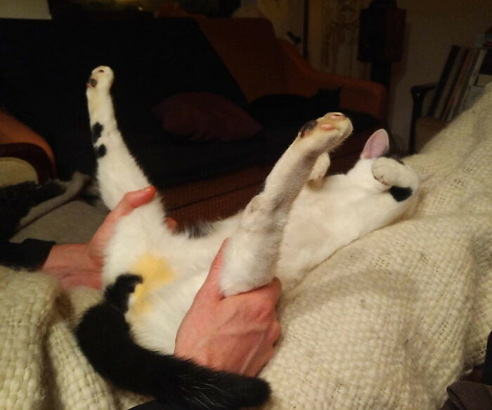 Husband Checking Jo's Castration Is Healing Made For A Hilarious Shot