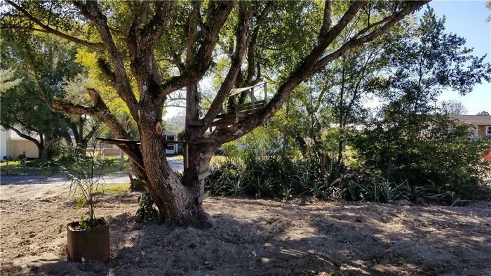 House Listing Of "The Worst House On The Street" Goes Viral For Its Hilarious Commentary