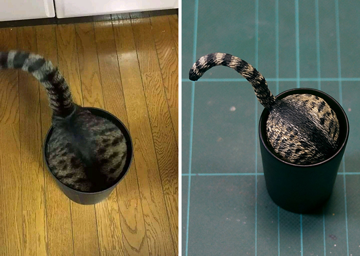 Funny Animals Sculptures