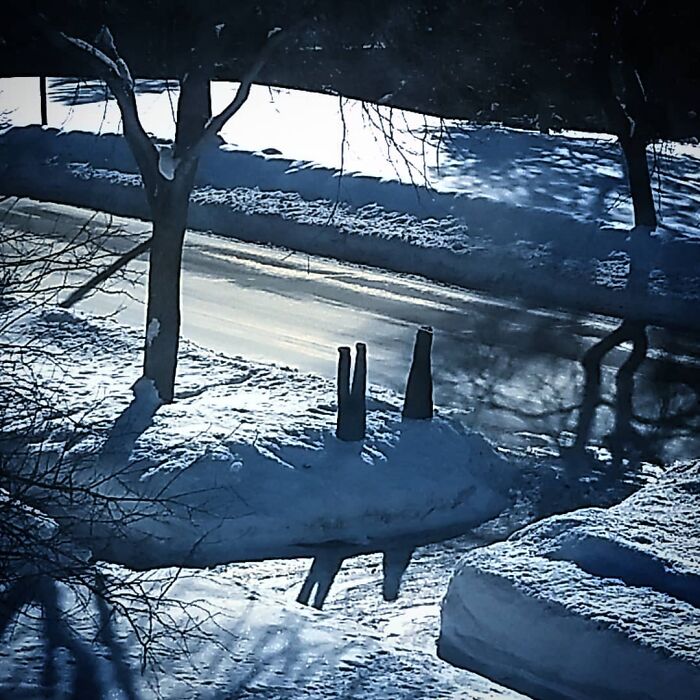 Frozen-Pants-Online-Trend-Winter-Cold-Weather