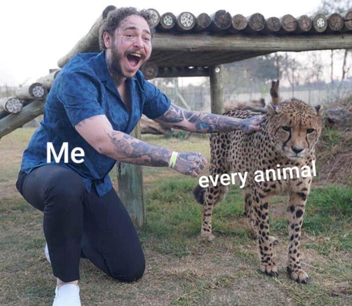 Wholesome-Heartwarming-Memes