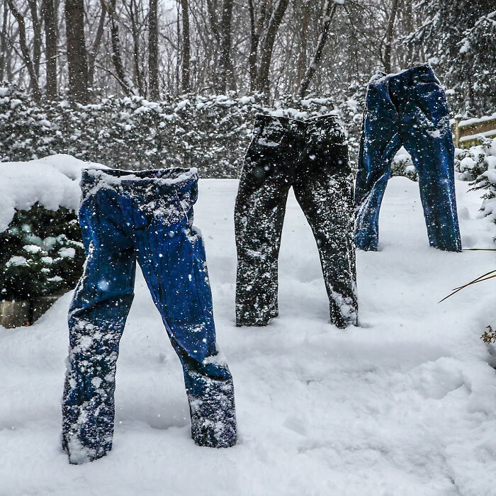 Frozen-Pants-Online-Trend-Winter-Cold-Weather