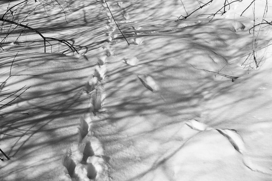 I Capture The Life Of A Lone Former Soldier Saving Animals From Poachers I Capture The Life Of A Lone Former Soldier Saving Animals From Poachers