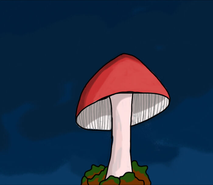 Mushroooooom- The Shading Is A Little Iffy But I Like It.. Finally Finding My Style!