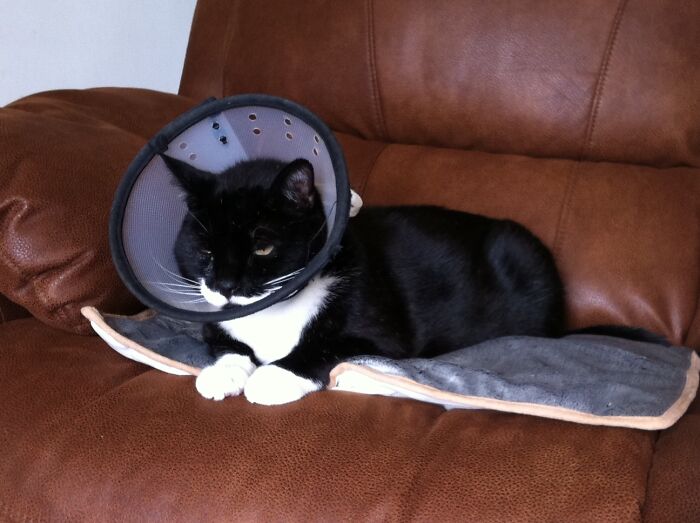 To Add To My Misery You Have To Go And Take My Picture? Well, Thank You