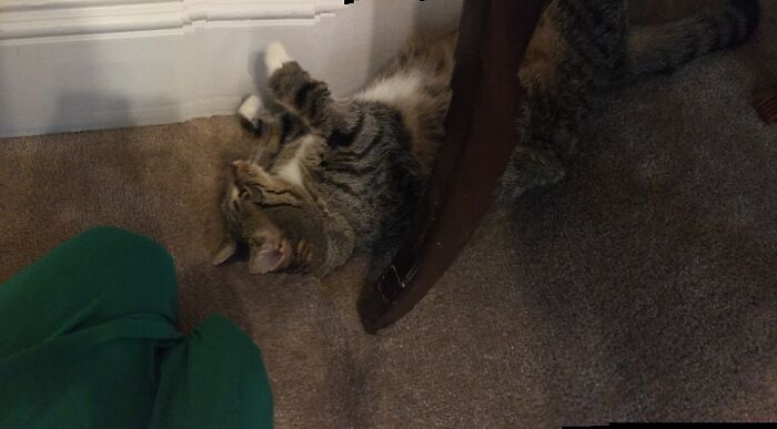 Between My Chair And The Wall