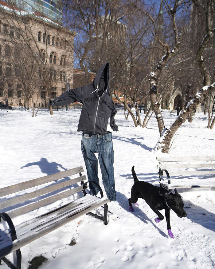 Frozen-Pants-Online-Trend-Winter-Cold-Weather