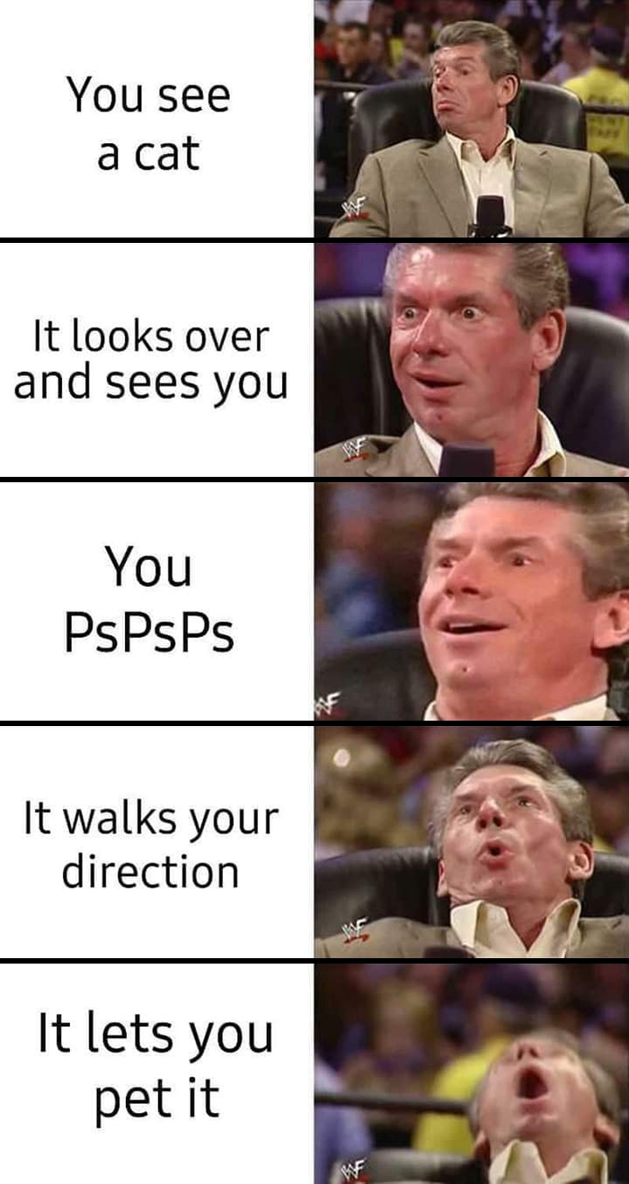 Wholesome-Heartwarming-Memes